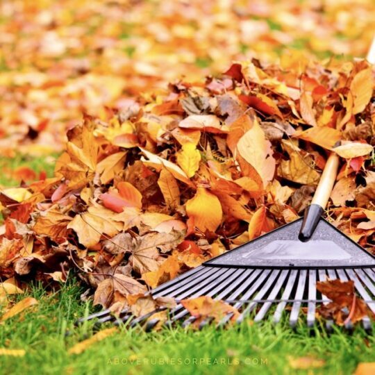 a rake laying on a pile of fall leaves