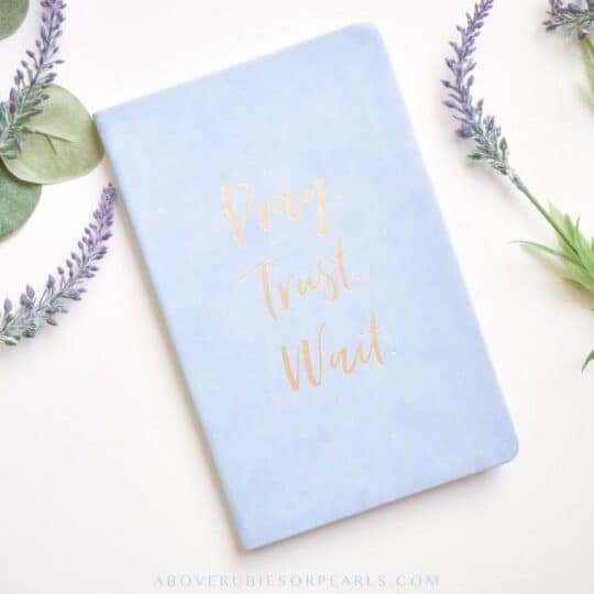 A cornflower blue journal explains how to trust God with the words ‘Pray, Trust, Wait’ embossed on the cover.