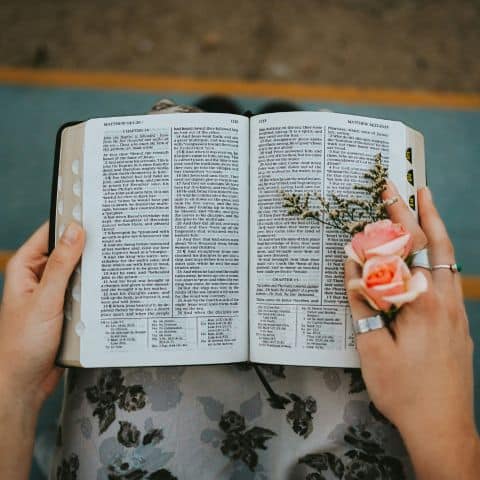 Open Bible resting on a woman’s lap with her hands holding the pages, pink rosebuds tucked inside, symbolizing finding true confidence in God’s Word.